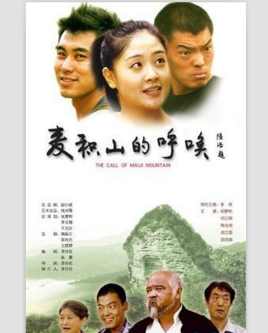 《麦积山的呼唤》海报