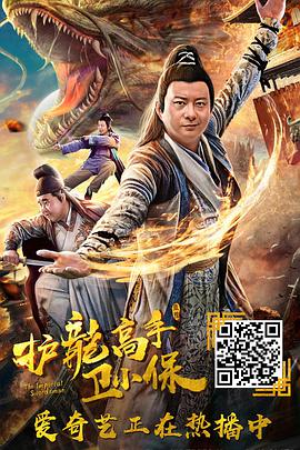《护龙高手卫小保》海报