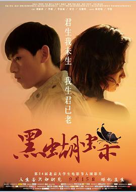 《黑蝴蝶》海报