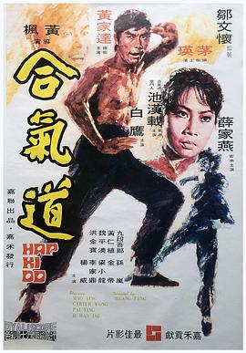 《合气道》海报