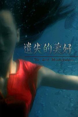《遗失的美好》海报