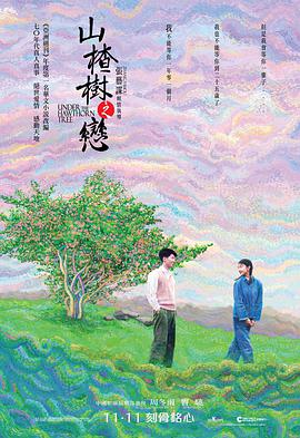 《山楂树之恋》海报
