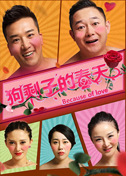 《狗剩子的春天》海报
