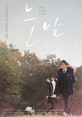 《雪花》海报