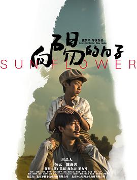 《向阳的日子》海报