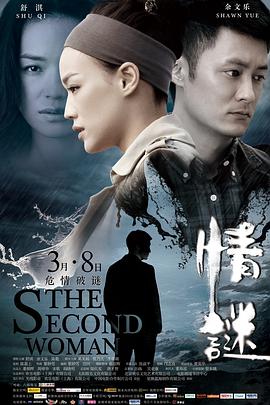 《情谜 情謎》海报