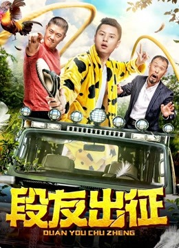 《段友出征》海报