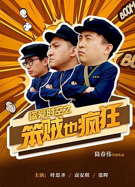 《盗爱时空之笨贼也疯狂》海报