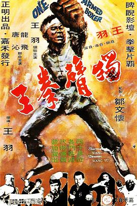 《独臂拳王 獨臂拳王》海报