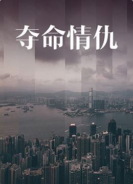 《夺命情仇》海报