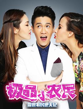 《极品小农民》海报