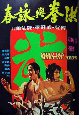 《洪拳与咏春》海报