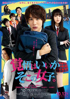 《接招吧！那边的女孩》海报