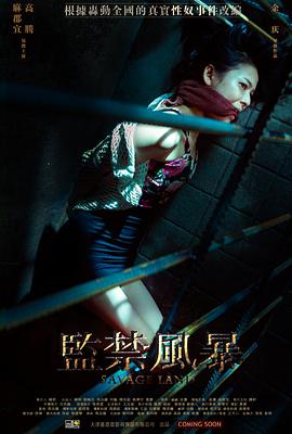 《监禁风暴》海报