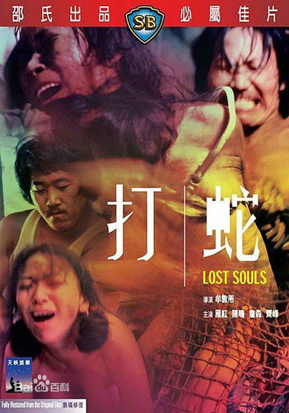 《打蛇》海报