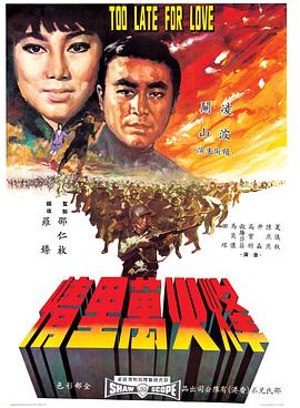 《烽火万里情》海报