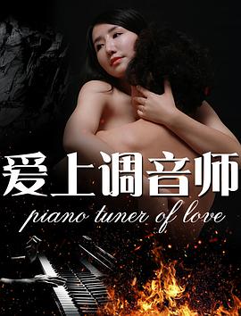 《爱上调音师》海报