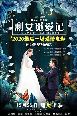 《剩女觅爱记》海报