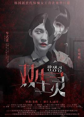 《双生灵》海报