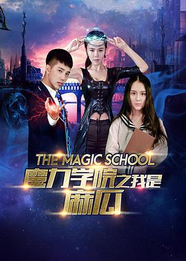 《魔力学院之我是麻瓜》海报