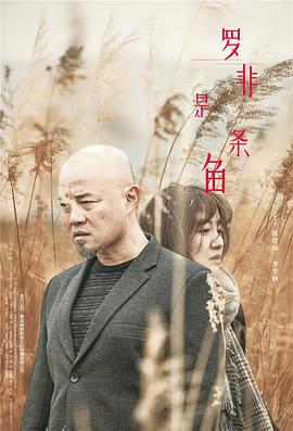 《罗非是条鱼》海报