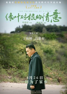 《绿叶对根的情意》海报