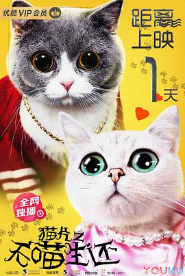 《猫片之无喵生还》海报