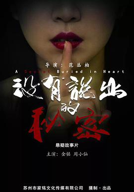 《没有说出的秘密》海报