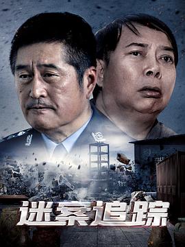 《迷案追踪》海报