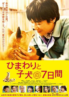 《向日葵与幼犬的7天》海报