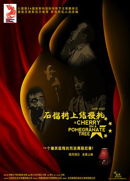 《石榴树上结樱桃》海报