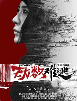 《劫数难逃》海报