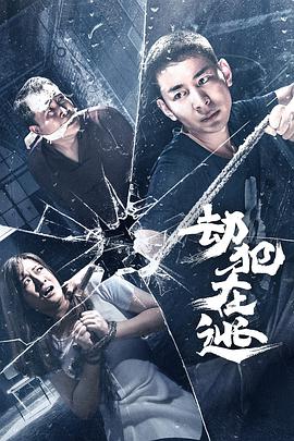 《劫犯在逃》海报