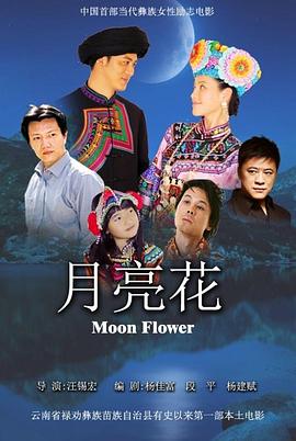 《月亮花》海报