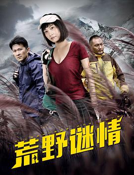 《荒野谜情》海报