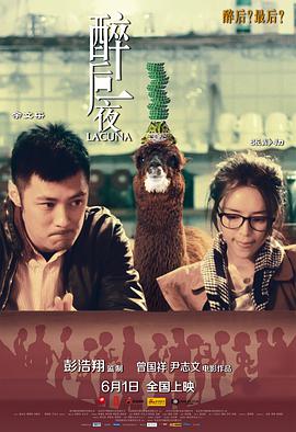 《醉后一夜》海报