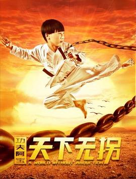 《功夫阿宝：天下无拐》海报