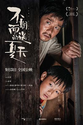 《不期而遇的夏天》海报