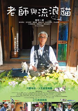 《老师与流浪猫》海报