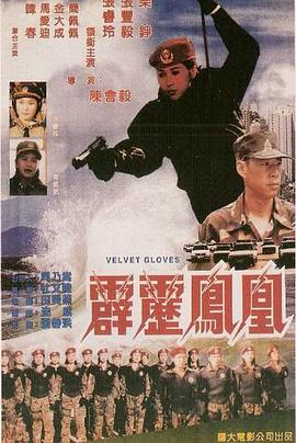 《霹雳凤凰》海报