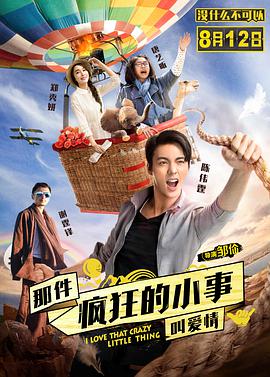 《那件疯狂的小事叫爱情》海报