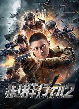 《狼群行动2》海报