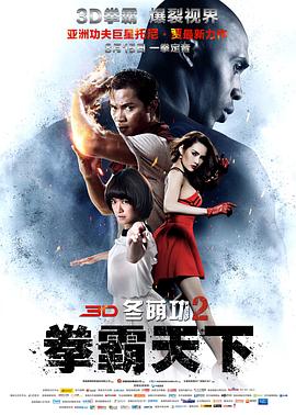 《冬荫功2：拳霸天下（原声版）》海报