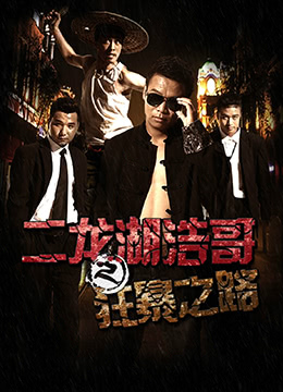 《二龙湖浩哥之狂暴之路》海报