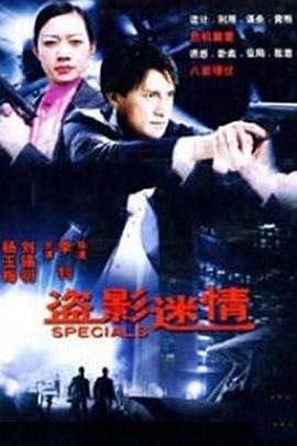 《盗影谜情》海报