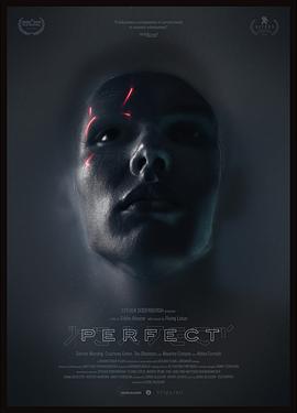 《完美Perfect》海报