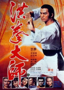 《洪拳大师》海报