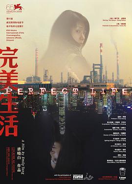 《完美生活》海报