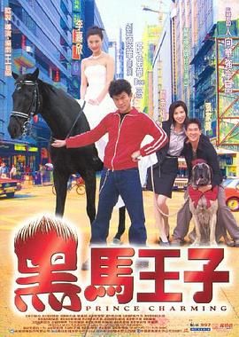 《黑马王子》海报