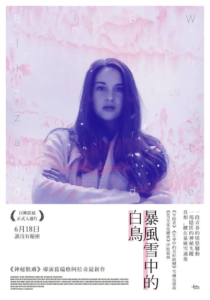 《暴风雪中的白鸟》海报